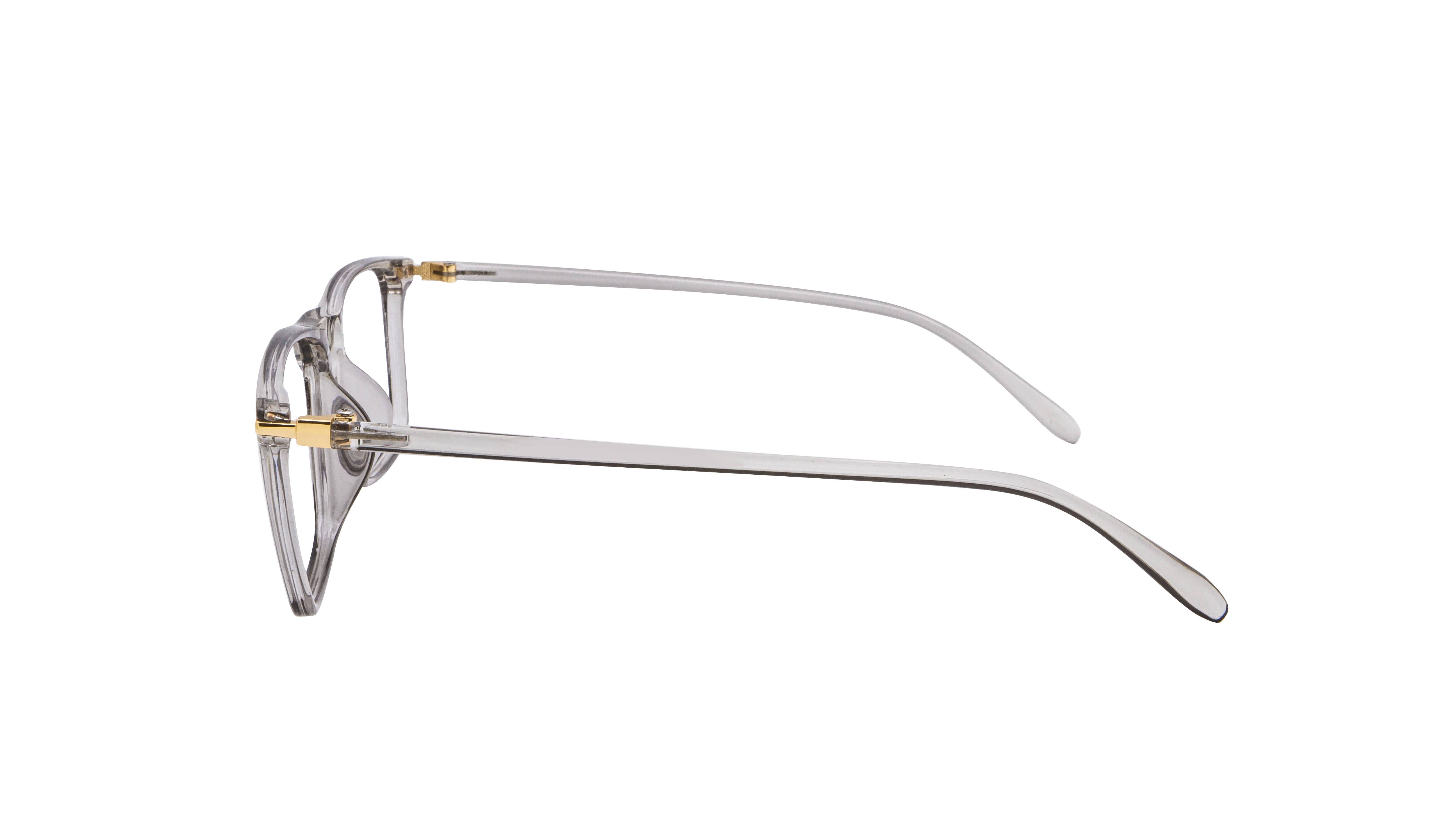 OPTICAL MENS "IMMORTAL" OM003