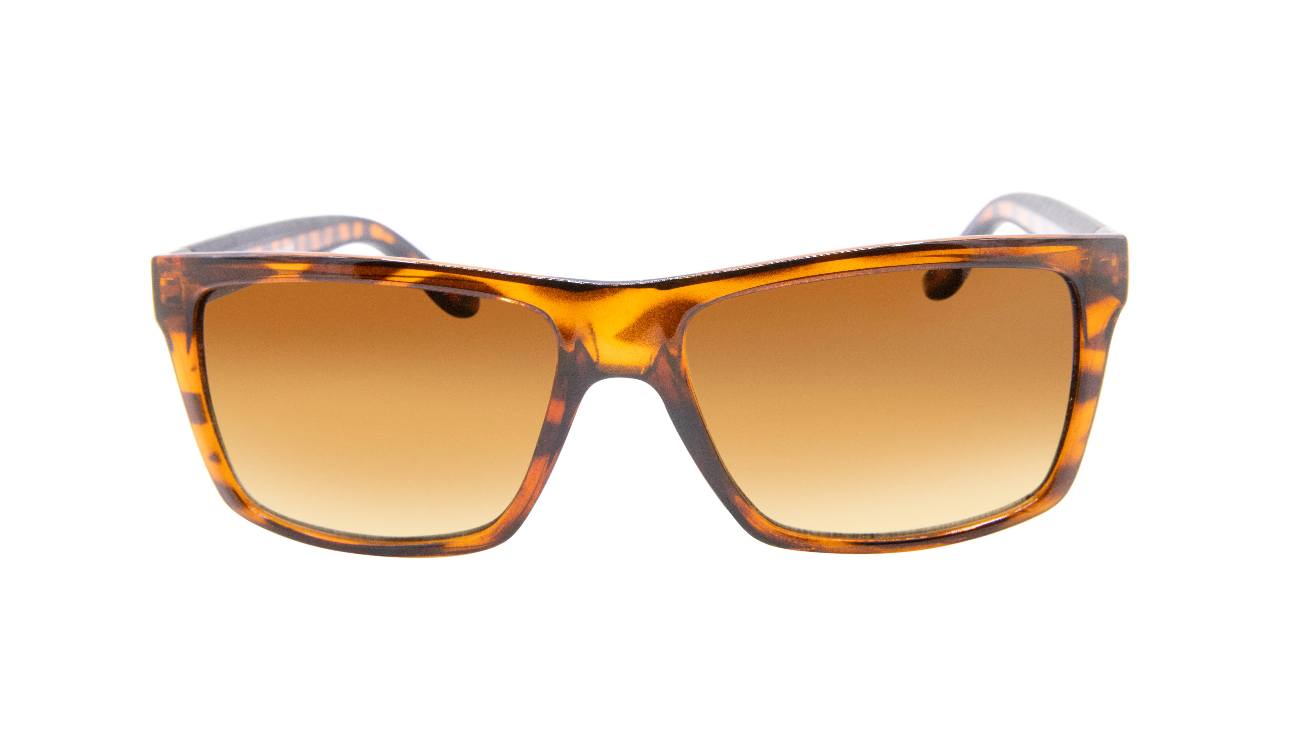 SUNGLASS MENS " MONTANA" SM037