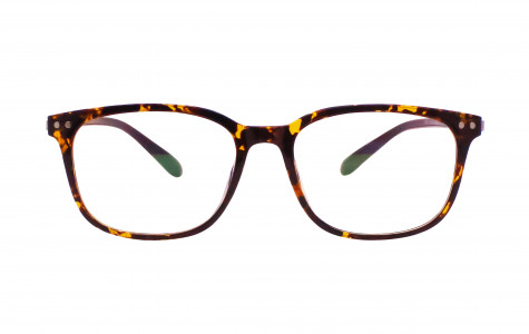 eyeglass